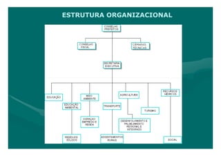 ESTRUTURA ORGANIZACIONAL
 