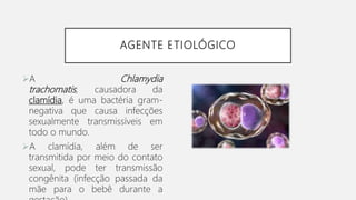AGENTE ETIOLÓGICO
A Chlamydia
trachomatis, causadora da
clamídia, é uma bactéria gram-
negativa que causa infecções
sexualmente transmissíveis em
todo o mundo.
A clamídia, além de ser
transmitida por meio do contato
sexual, pode ter transmissão
congênita (infecção passada da
mãe para o bebê durante a
 