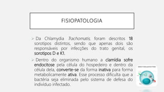 FISIOPATOLOGIA
 Da Chlamydia Trachomatis, foram descritos 18
sorotipos distintos, sendo que apenas dois são
responsáveis por infecções do trato genital, os
sorotipos D e K1.
 Dentro do organismo humano a clamídia sofre
endocitose pela célula do hospedeiro e dentro da
célula dela, converte-se da forma inativa para forma
metabolicamente ativa. Esse processo dificulta que a
bactéria seja eliminada pelo sistema de defesa do
indivíduo infectado.
 