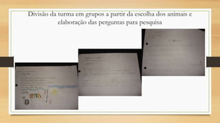 Divisão da turma em grupos a partir da escolha dos animais e
elaboração das perguntas para pesquisa

 