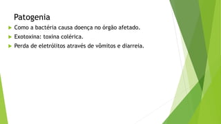 Patogenia
 Como a bactéria causa doença no órgão afetado.
 Exotoxina: toxina colérica.
 Perda de eletrólitos através de vômitos e diarreia.
 