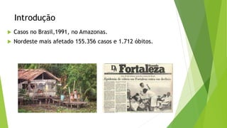 Introdução
 Casos no Brasil,1991, no Amazonas.
 Nordeste mais afetado 155.356 casos e 1.712 óbitos.
 
