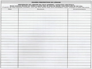 ApresentaçãO ClimatéRio  Menopausa