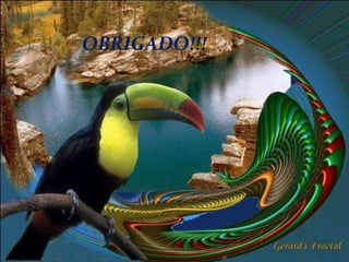 Apresentação Câmara2