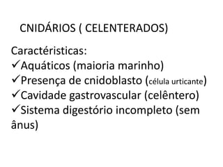 CNIDÁRIOS ( CELENTERADOS)
Caractéristicas:
Aquáticos (maioria marinho)
Presença de cnidoblasto (célula urticante)
Cavidade gastrovascular (celêntero)
Sistema digestório incompleto (sem
ânus)
 