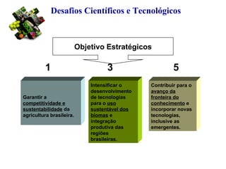 Discussão estratégica de investigação de frutas tropicais para AL e Caribe, Embrapa Mandioca e Fruticultura  Tecnologia da Raiz ao Fruto