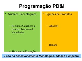 Discussão estratégica de investigação de frutas tropicais para AL e Caribe, Embrapa Mandioca e Fruticultura  Tecnologia da Raiz ao Fruto