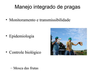 Discussão estratégica de investigação de frutas tropicais para AL e Caribe, Embrapa Mandioca e Fruticultura  Tecnologia da Raiz ao Fruto