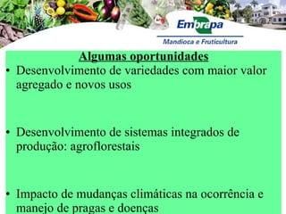 Discussão estratégica de investigação de frutas tropicais para AL e Caribe, Embrapa Mandioca e Fruticultura  Tecnologia da Raiz ao Fruto