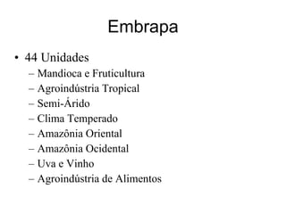 Discussão estratégica de investigação de frutas tropicais para AL e Caribe, Embrapa Mandioca e Fruticultura  Tecnologia da Raiz ao Fruto