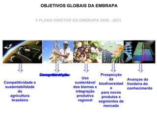 Discussão estratégica de investigação de frutas tropicais para AL e Caribe, Embrapa Mandioca e Fruticultura  Tecnologia da Raiz ao Fruto