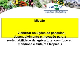 Discussão estratégica de investigação de frutas tropicais para AL e Caribe, Embrapa Mandioca e Fruticultura  Tecnologia da Raiz ao Fruto