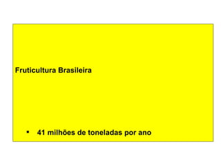 Discussão estratégica de investigação de frutas tropicais para AL e Caribe, Embrapa Mandioca e Fruticultura  Tecnologia da Raiz ao Fruto