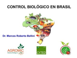 Dr. Marcos Roberto Bellini
CONTROL BIOLÓGICO EN BRASIL
 