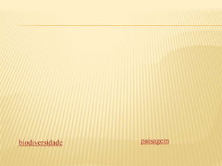 RECOMPOSIÇÃO DA RL