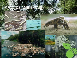 IMPACTOS AMBIENTAIS 