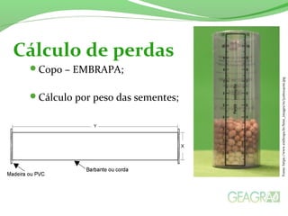 Copo – EMBRAPA;
Cálculo por peso das sementes;
Cálculo de perdas
Fonte:https://www.embrapa.br/bme_images/m/52160040m.jpg
 
