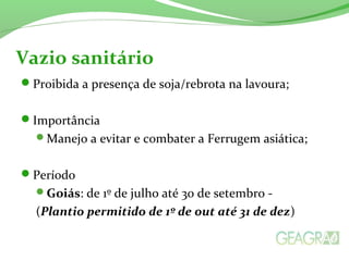 Proibida a presença de soja/rebrota na lavoura;
Importância
Manejo a evitar e combater a Ferrugem asiática;
Período
Goiás: de 1º de julho até 30 de setembro -
(Plantio permitido de 1º de out até 31 de dez)
Vazio sanitário
 