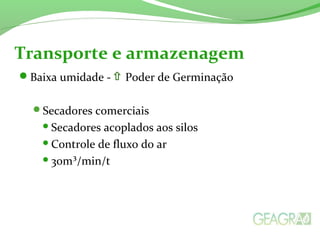 Baixa umidade - Poder de Germinação
Secadores comerciais
Secadores acoplados aos silos
Controle de fluxo do ar
30m³/min/t
Transporte e armazenagem
 