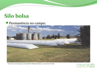 Permanência no campo;
Silo bolsa
Fonte: http://www.agromeat.com/82198/%C2%BFpueden-llegar-a-escasear-los-silo-bolsa
 