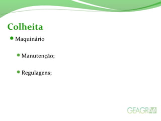 Maquinário
Manutenção;
Regulagens;
Colheita
 