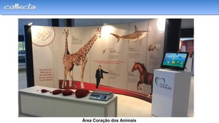 UTILIZAÇÃO DOS SERVIÇOSSERVIÇOS
Área Coração dos Animais
 