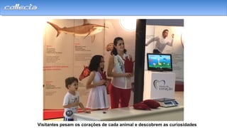 Visitantes pesam os corações de cada animal e descobrem as curiosidades
 
