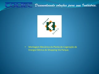 • Montagem Mecânica da Planta de Cogeração de
Energia Elétrica do Shopping Via Parque.
 