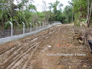 Cerca Patrimonial/ 5 fiadas   