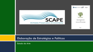 Estado da Arte
Elaboração de Estratégias e Políticas
 