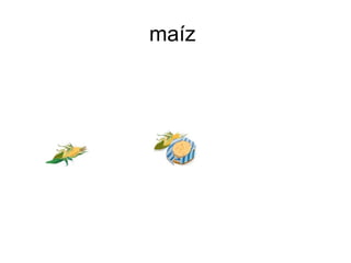 maíz