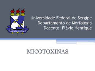 Universidade Federal de Sergipe
Departamento de Morfologia
Docente: Flávio Henrique

MICOTOXINAS

 