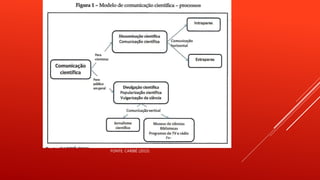 FONTE: CARIBÉ (2015)
 