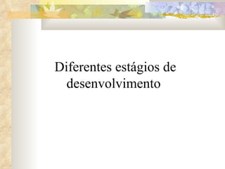 Diferentes estágios de desenvolvimento  