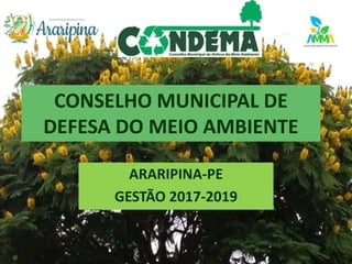 CONSELHO MUNICIPAL DE
DEFESA DO MEIO AMBIENTE
ARARIPINA-PE
GESTÃO 2017-2019
 