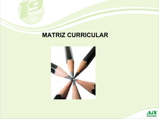 MATRIZ CURRICULAR 
