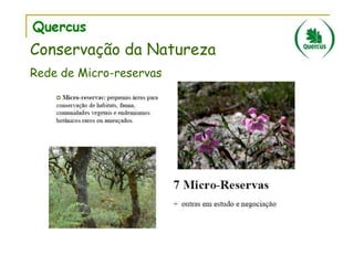Conservação da Natureza
Rede de Micro-reservas

 