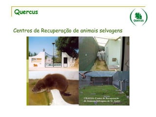 Centros de Recuperação de animais selvagens

 