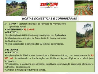 HORTAS DOMÉSTICAS E COMUNITÁRIAS
1)   SEPPIR – Secretaria Especial de Políticas de Promoção da
     Igualdade Racial
 INVESTIMENTO: R$ 110 mil
OBJETIVOS:
Implantação de 04 Unidades Agroecológicas nos Quilombos
localizados nos municípios de Santa Luzia do Itanhy e Amparo
do São Francisco.
Serão capacitadas e beneficiadas 60 famílias quilombolas.

2) ESTADUAIS
OBJETIVOS:
Implantação de 2000 hortas domésticas e 100 comunitárias, com investimento de R$
500 mil, incentivando a implantação de Unidades Agroecológicas nos Municípios
Sergipanos.
Proporcionar o consumo de alimentos saudáveis, promovendo segurança alimentar e
nutricional às populações.
Ampliar a inclusão produtiva no campo.
 