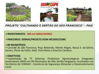PROJETO “CULTIVANDO O SERTÃO DO SÃO FRANCISCO” – PAIS


INVESTIMENTO: 360 mil (MDS/SEIDES)
PARCEIROS: SEBRAE/PROJETO DOM HÉLDER/CDJBC

09 MUNICÍPIOS:
Canindé do São Francisco, Poço Redondo, Monte Alegre, Nossa S. da Glória,
Gararu, Porto da Folha, Itabi, Feira Nova e Graccho Cardoso.
OBJETIVOS:
Implantação de 75 Sistemas Produtivos Agroecológicos Integrados
Sustentáveis (PAIS) em 09 Municípios do Alto Sertão Sergipano, localizados nos
Territórios do CONSAD – Consórcio de Segurança Alimentar e Desenvolvimento
Local.
 