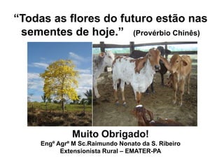 “Todas as flores do futuro estão nas
 sementes de hoje.” (Provérbio Chinês)




              Muito Obrigado!
     Engº Agrº M Sc.Raimundo Nonato da S. Ribeiro
           Extensionista Rural – EMATER-PA
 