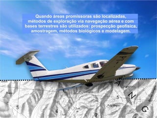 Conhecendo a Indústria de Mineração