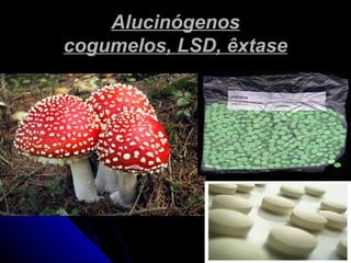 AlucinógenosAlucinógenos
cogumelos, LSD, êxtasecogumelos, LSD, êxtase
 