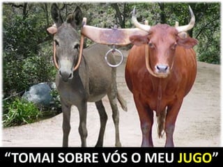“TOMAI SOBRE VÓS O MEU JUGO”