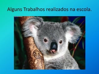 Alguns Trabalhos realizados na escola.
 