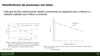 14
• Tudo que foi dito anteriormente, desde o crescimento do algodoeiro até a colheita e o
trabalho realizado com a fibra e a semente.
Interferência da presença em lotes
Fonte: SciELO, 2021. Fonte: SciELO, 2021.
 
