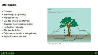 15
• O que é?
• Etimologia da palavra;
• Aleloquímicos;
• Usados em agrossistemas;
• Diversos fatores regulatórios;
• Herbicidas naturais;
• Plantas daninhas;
• Culturas com efeitos alelopáticos;
• Agricultura sustentável.
Alelopatia
Fonte: Agronegocios, 2021.
 