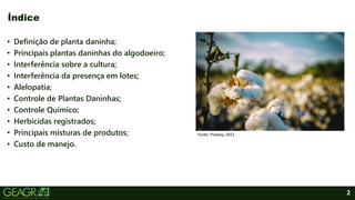 2
• Definição de planta daninha;
• Principais plantas daninhas do algodoeiro;
• Interferência sobre a cultura;
• Interferência da presença em lotes;
• Alelopatia;
• Controle de Plantas Daninhas;
• Controle Químico;
• Herbicidas registrados;
• Principais misturas de produtos;
• Custo de manejo.
Índice
Fonte: Pixabay, 2021.
 