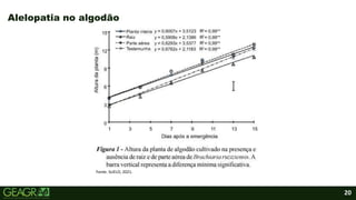 20
Alelopatia no algodão
Fonte: SciELO, 2021.
 