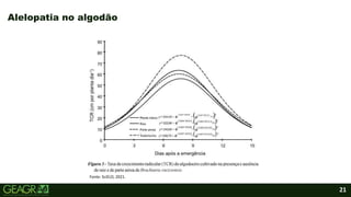 21
Alelopatia no algodão
Fonte: SciELO, 2021.
 